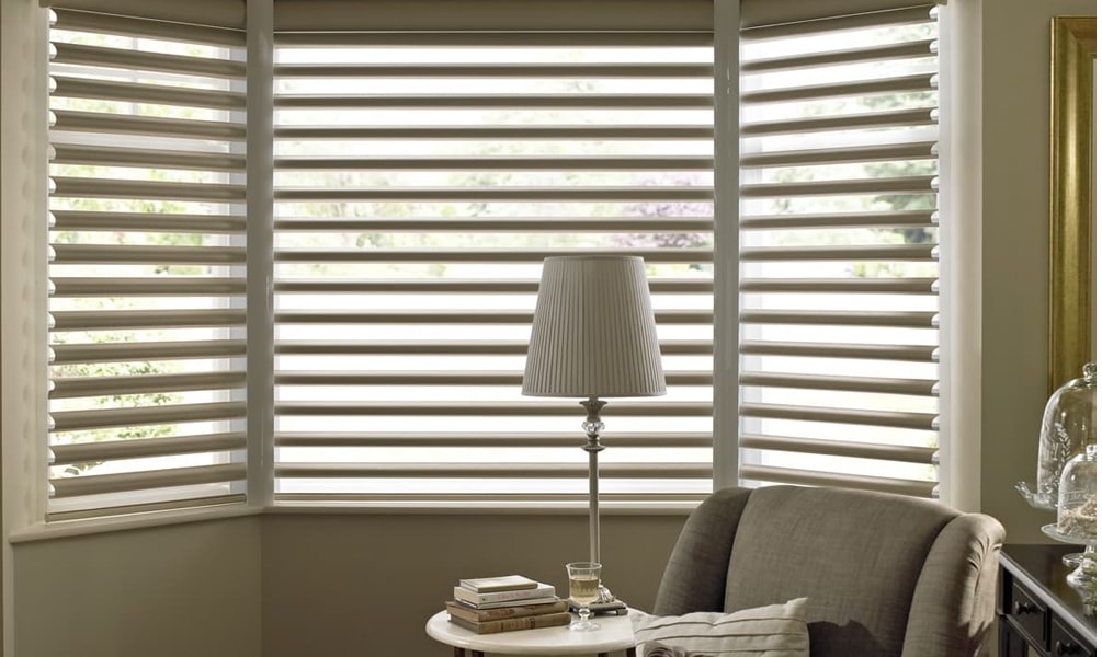 Blinds Awning
